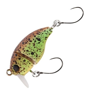 CARDIFF  そことろ 30S